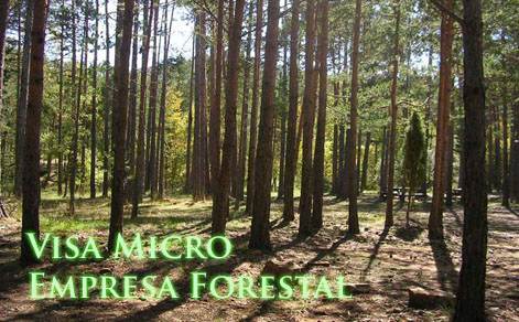 microforestal
